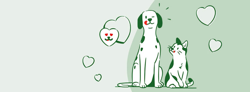 Aperçu du Catalogue Maxizoo et des Promotions pour animaux